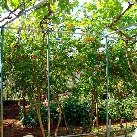 Meli * Ζαντάρ